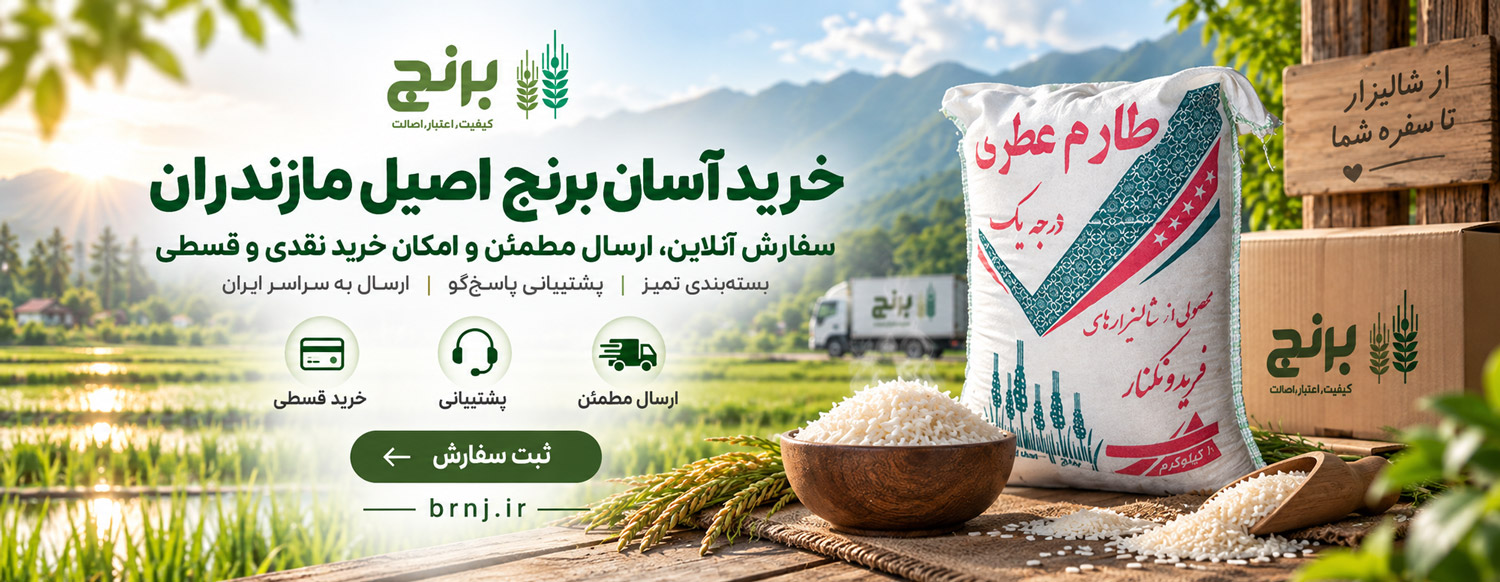 اسلاید